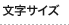 文字サイズの変更