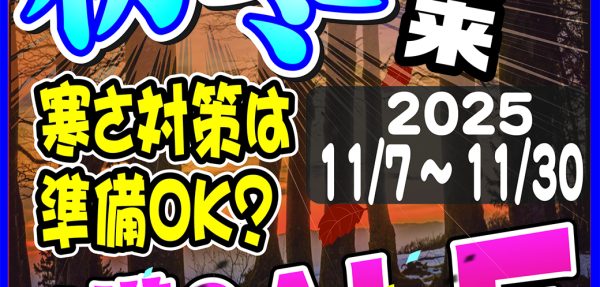11月度WEBチラシ