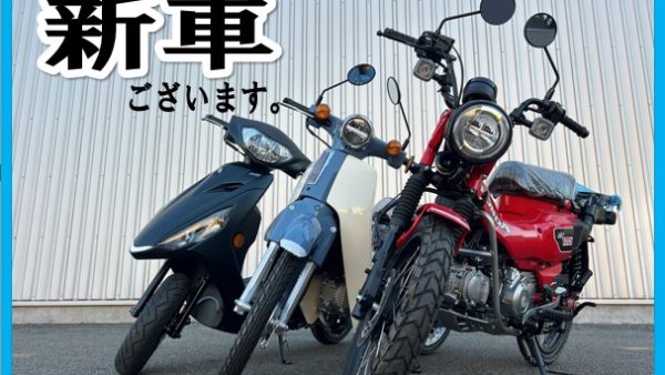 ❀新車ございます❀